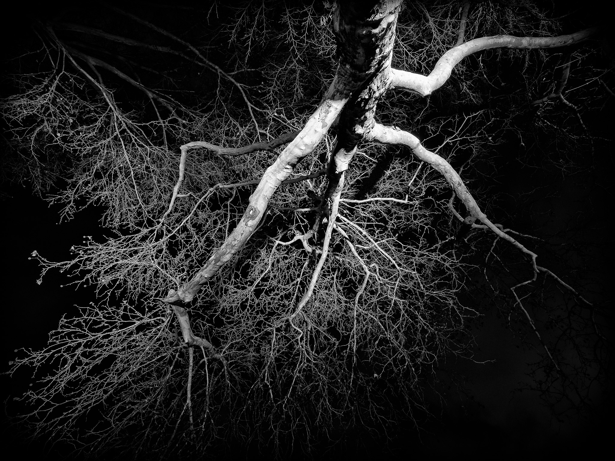 Winterlichter 2019 / 1