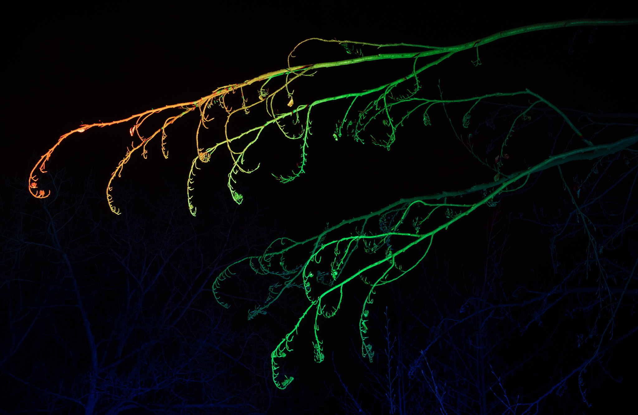 Winterlichter 2019 / 10