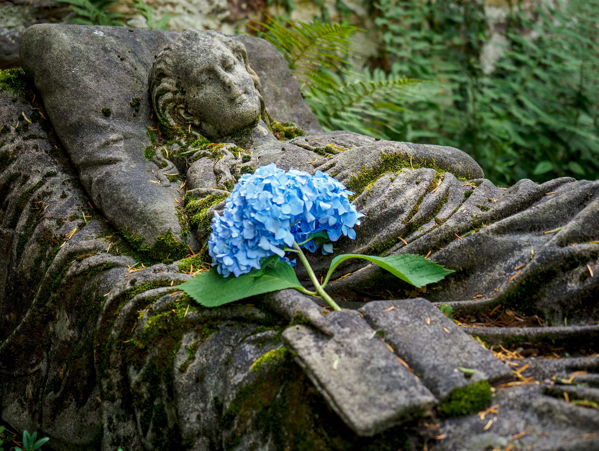Grave of Caroline Christine Walter