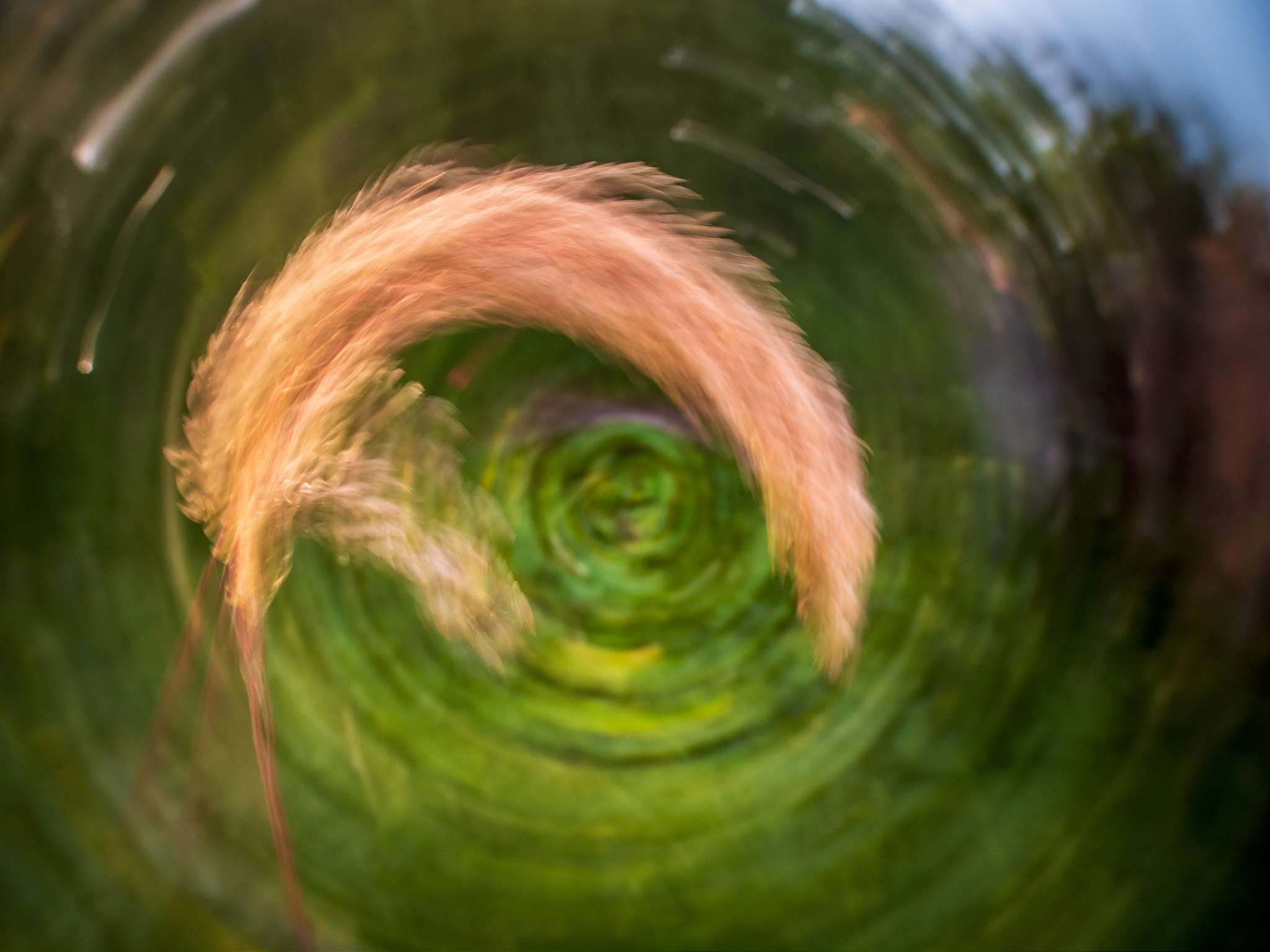 Zirkulare Gestische Fotografie 1