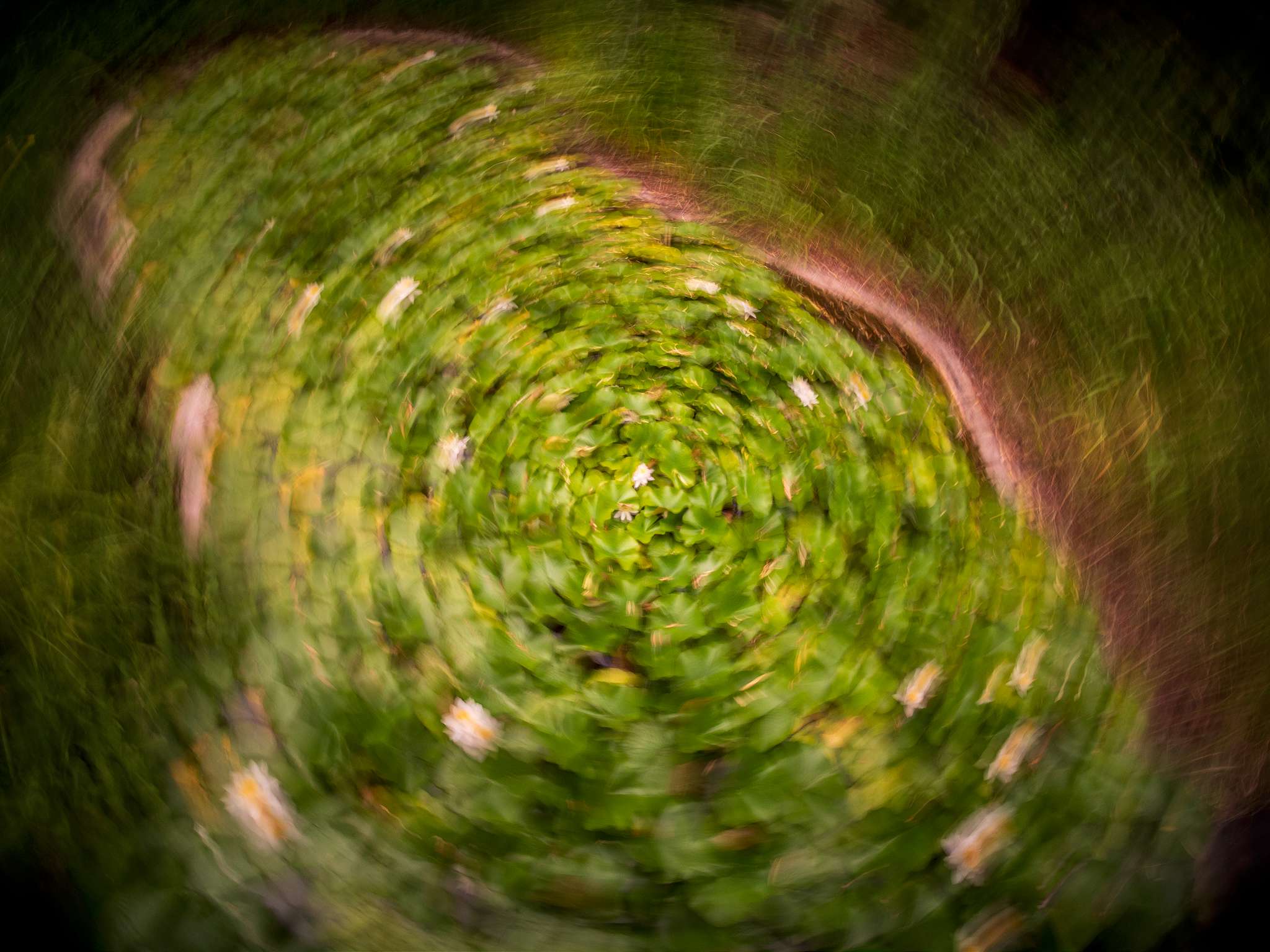 20210620 131740 A6201551